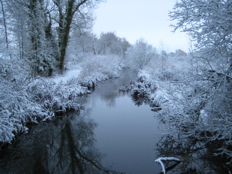 Winnall Moors Courtesy of Oliver Tate