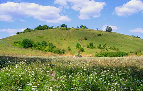 St. Catherines Hill by Nick Reynolds