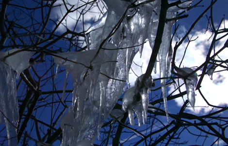 Icicles - (c) Freefoto.com