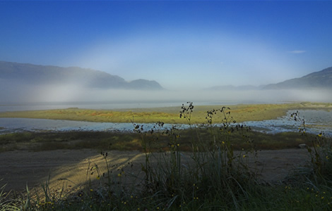 Fogbow by Wim Lassche