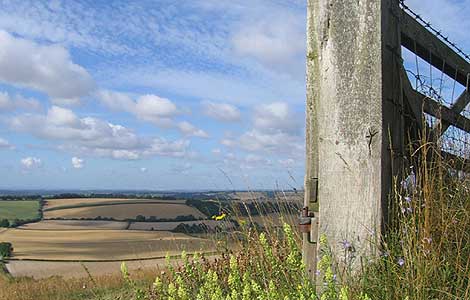 Winchester Hill by Gill Berry